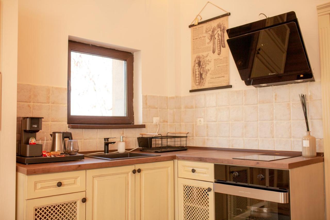 Private Villa Gergana Sapareva Banya Exterior photo